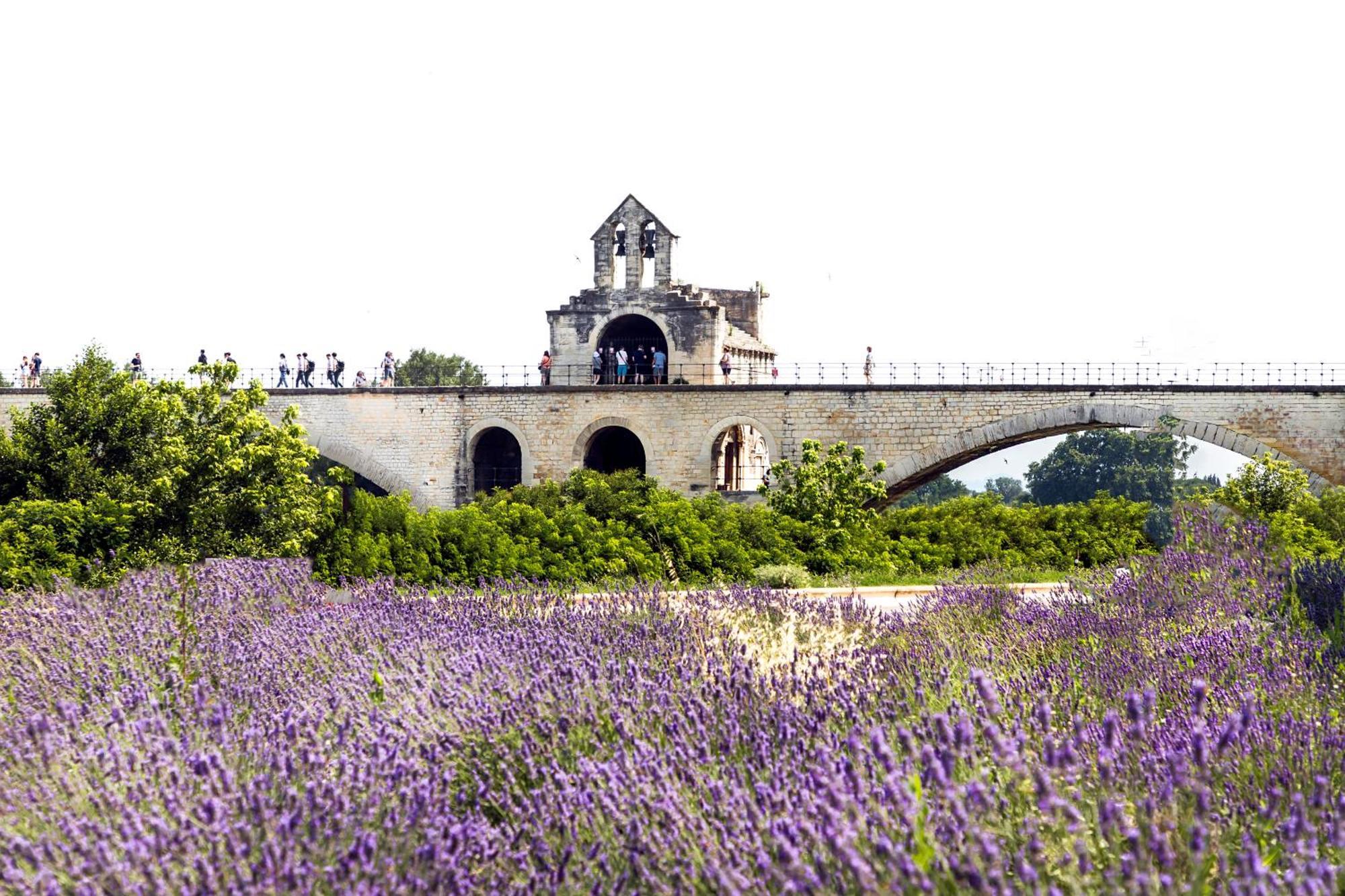 Camping Les Avignon - La Laune Villeneuve-les-Avignon Ngoại thất bức ảnh